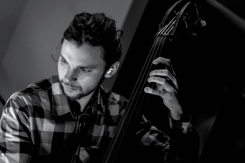 Bass player at the concert